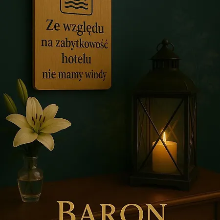 Baron Boutique Hotel 3*