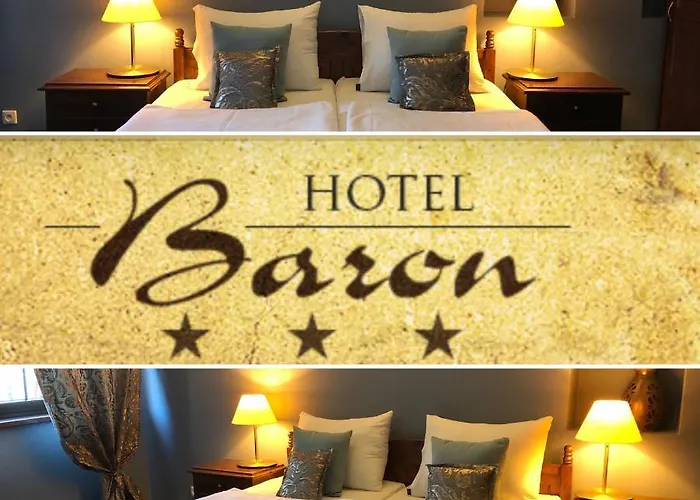 Hotel Baron Boutique 3*